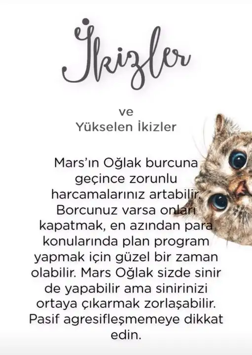 mars oğlak2 (5).webp