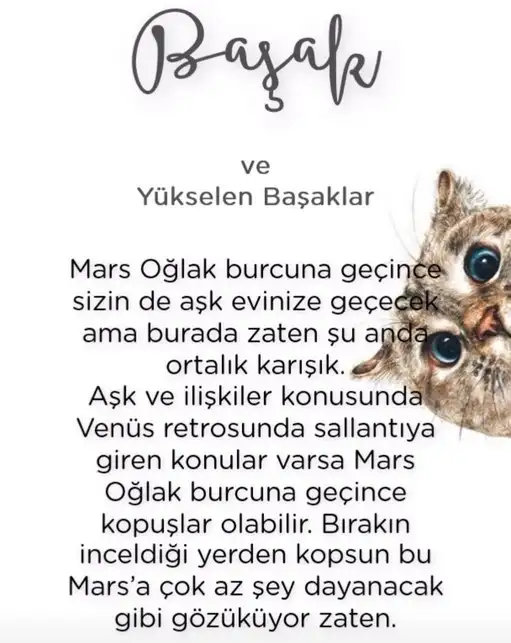 mars oğlak2 (8).webp
