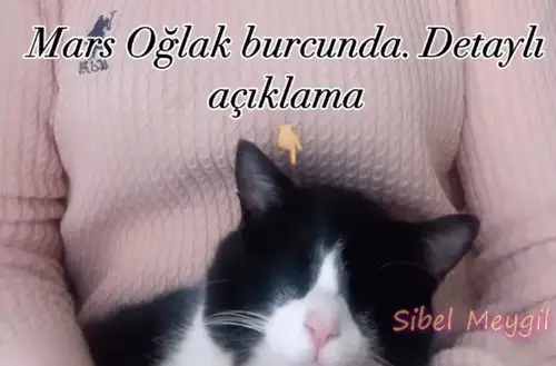 mars oğlak4 (1).webp