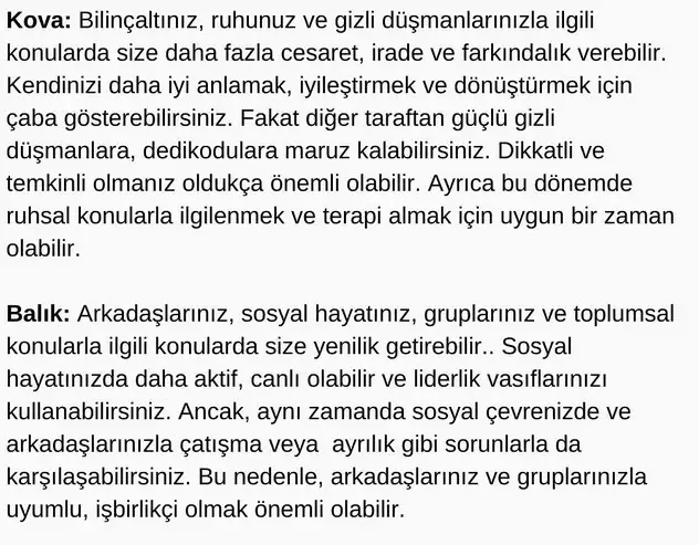mars oğlak7 (6).webp