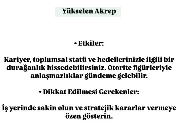 mars ret1 (9).webp