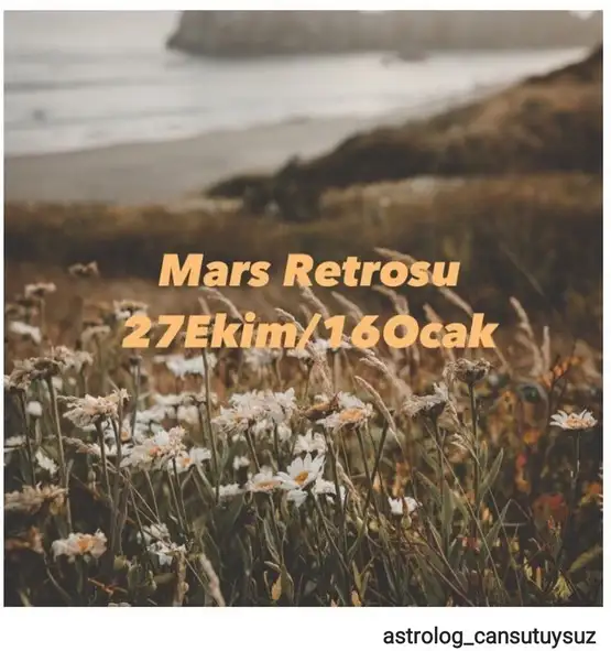 mars retro4 (1).webp