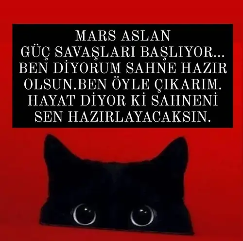 mars rüveyda irem (3).jpg