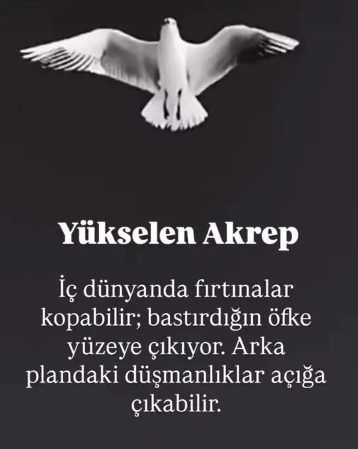 mars ter1 (9).webp