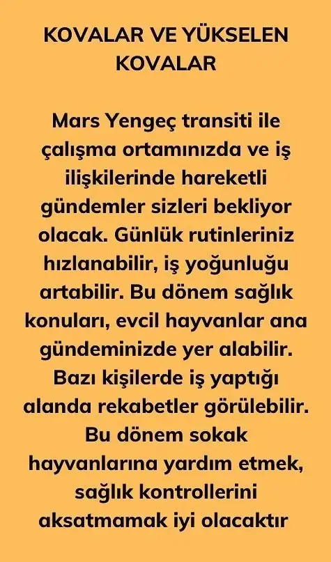 mars yengeç14 (7) - Kopya.webp