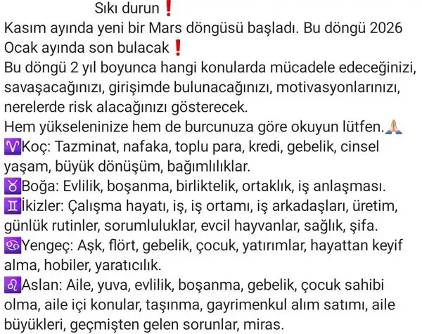 mars2 (2).webp