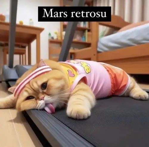mars30 (1).webp