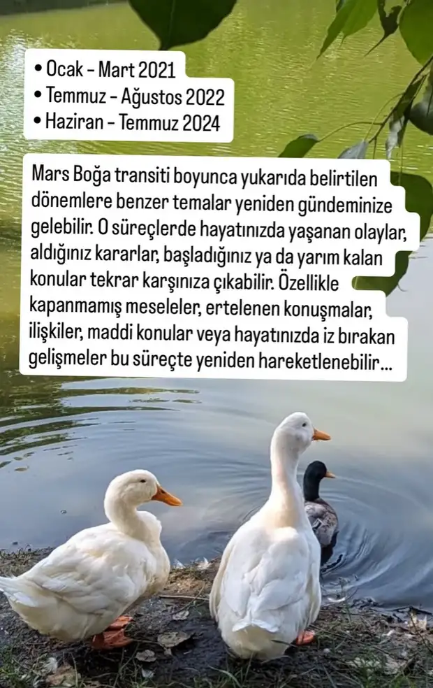 marsboğa4 (1).webp