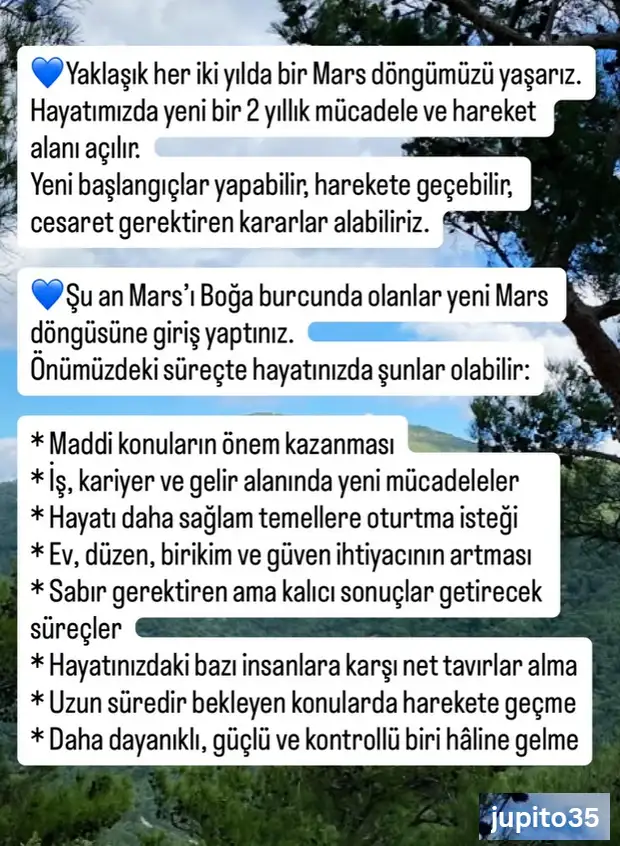 marsboğa4 (2).webp