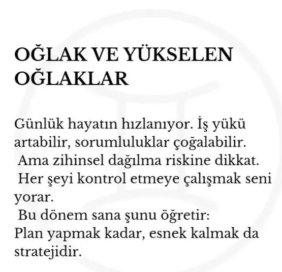 marsik8 (11).webp