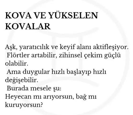 marsik8 (12).webp