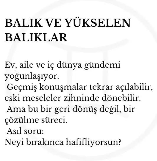 marsik8 (13).webp
