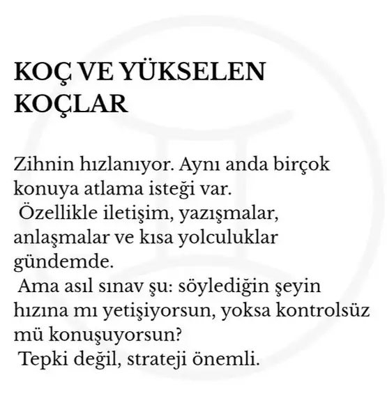 marsik8 (2).webp