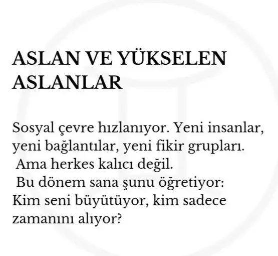 marsik8 (6).webp