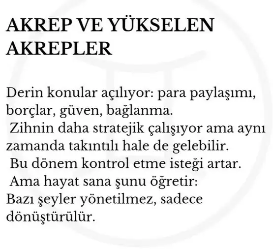 marsik8 (8).webp
