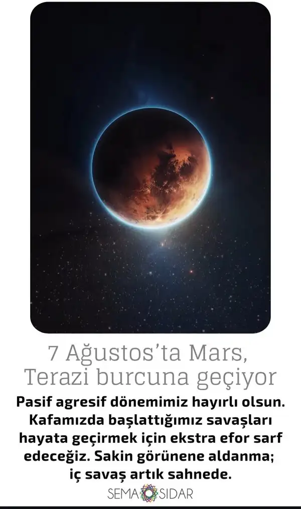 marster.webp