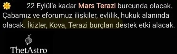 marster.webp