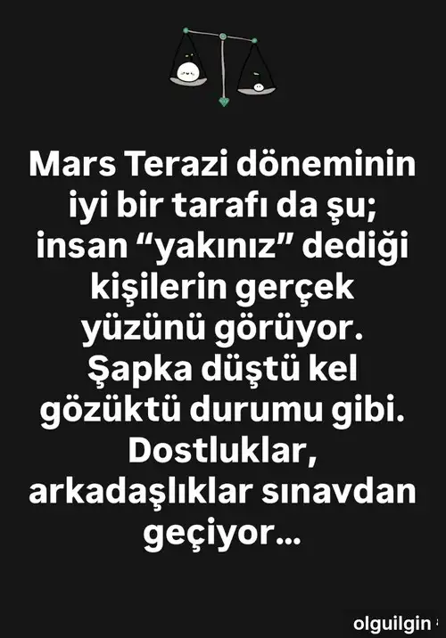 marster1.webp