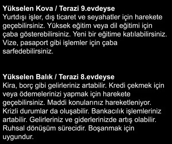 marster5 (5).webp