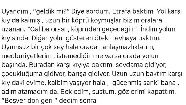 marster7 (2).webp