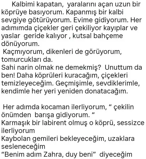 marster7 (4).webp