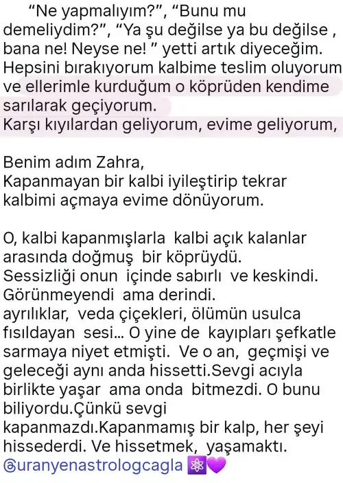 marster7 (5).webp