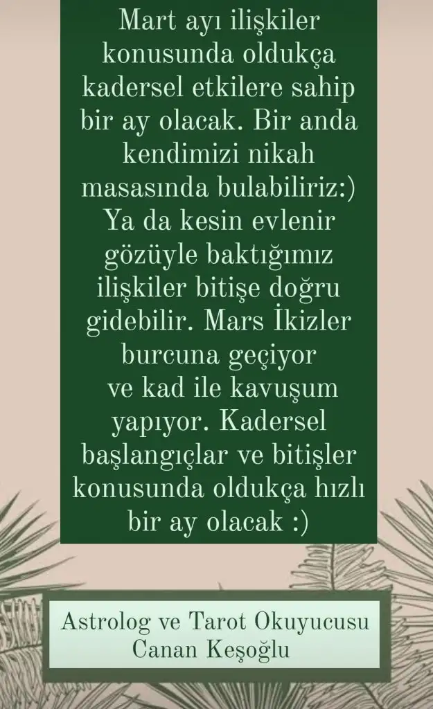 mart 5.webp