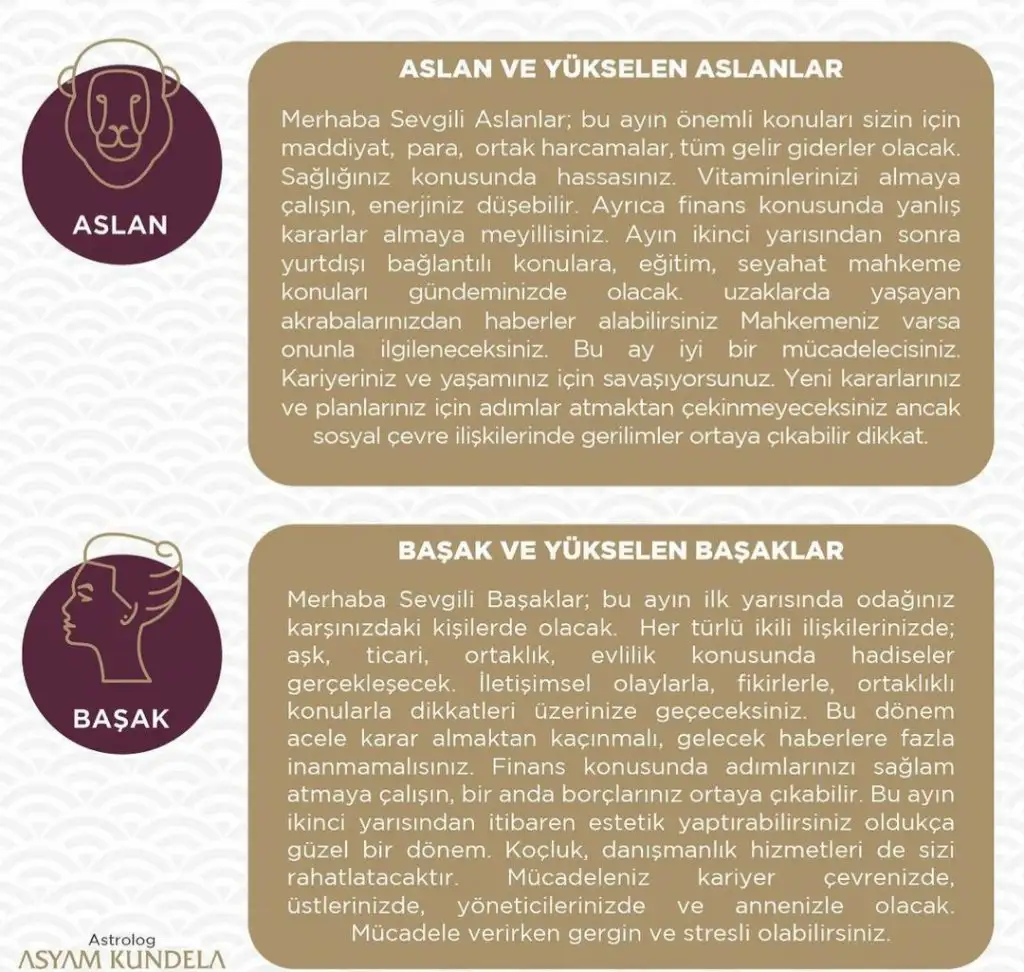 mart asyam kundela (3).webp