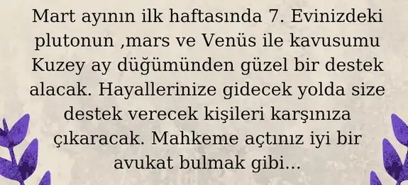 mart aylık 1 (19).webp