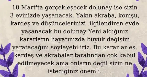 mart aylık 1 (20).webp