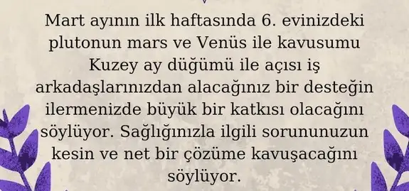 mart aylık 1 (24).webp