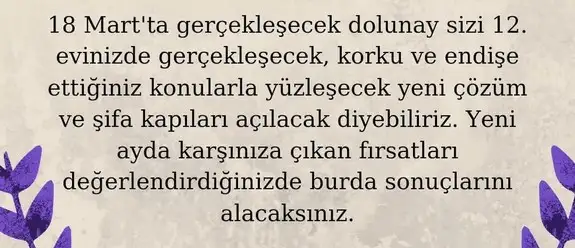 mart aylık 1 (35).webp