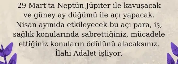 mart aylık 1 (36).webp