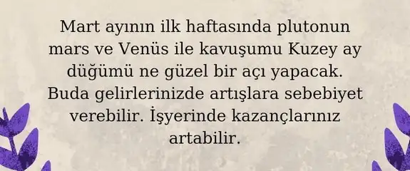 mart aylık 1 (45).webp