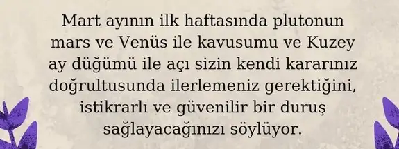 mart aylık 1 (50).webp