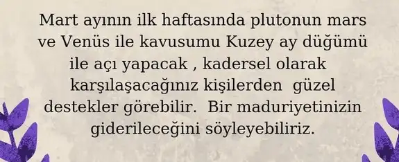 mart aylık 1 (55).webp