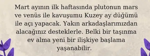 mart aylık 1 (60).webp