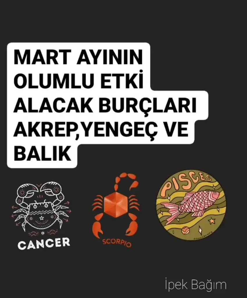 mart ipek bagım.webp