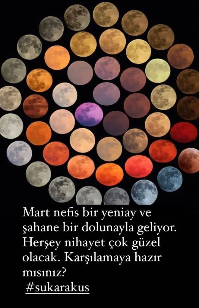 mart.webp