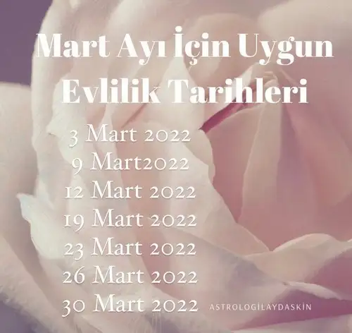 martt.webp
