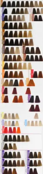 matrix-renk-katalogu.webp