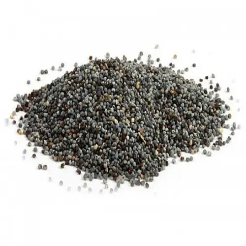 mavi-hashas-800x800-500x500.webp