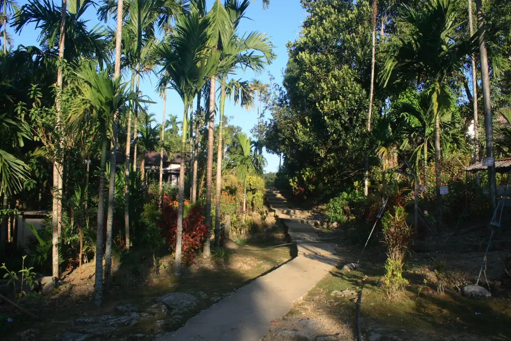 Mawlynnong1.webp