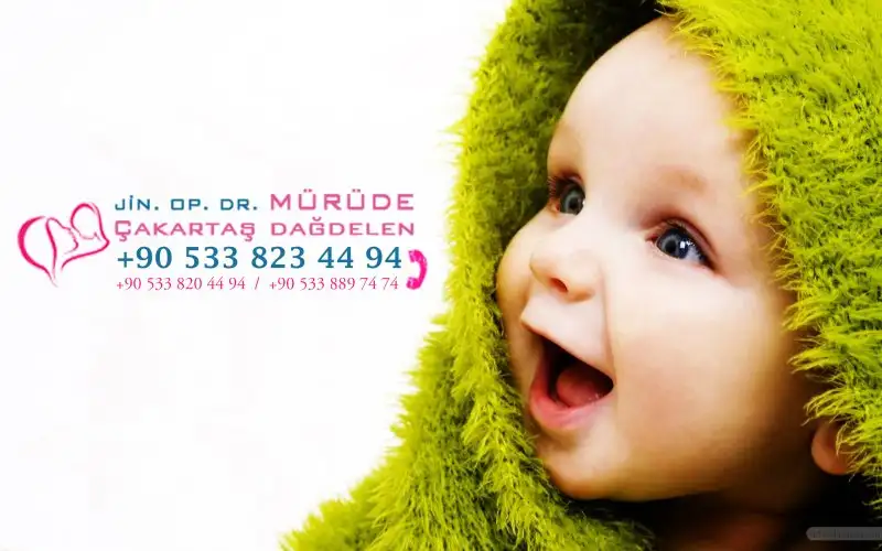 maxresdefault.webp