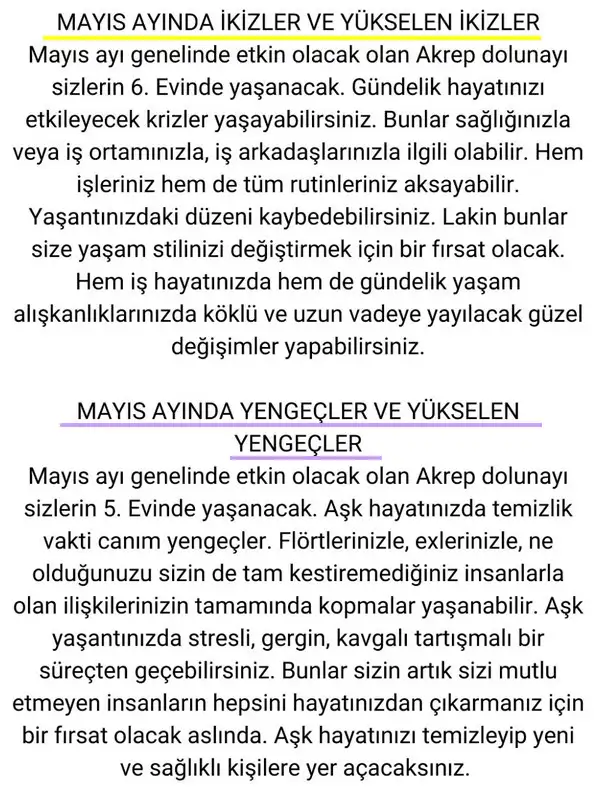 may19 (3).webp