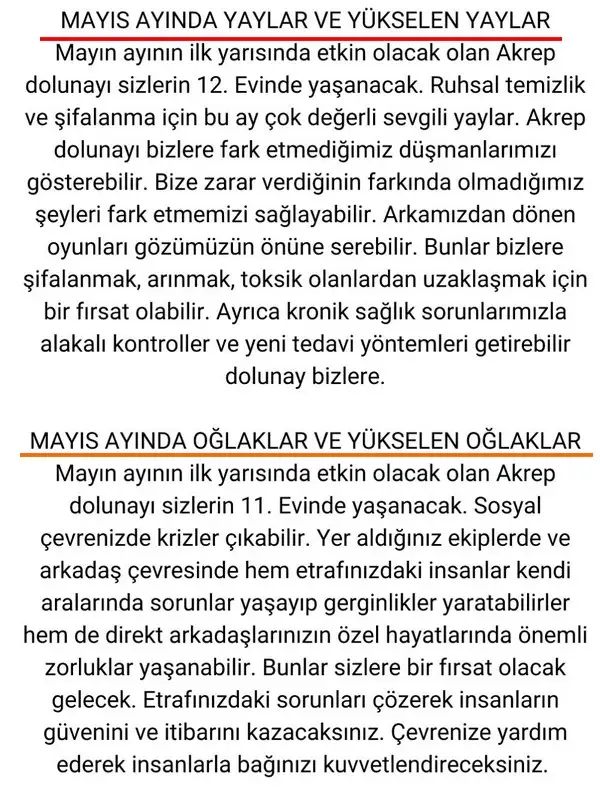 may19 (6).webp