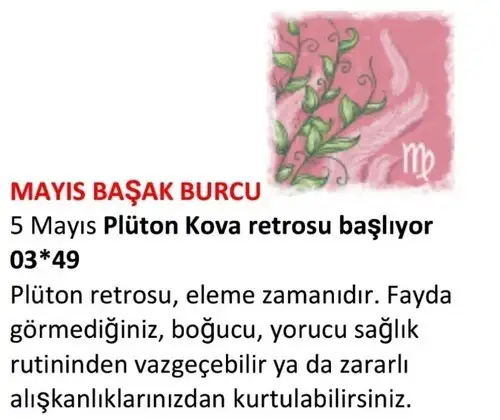 may22 (12).webp