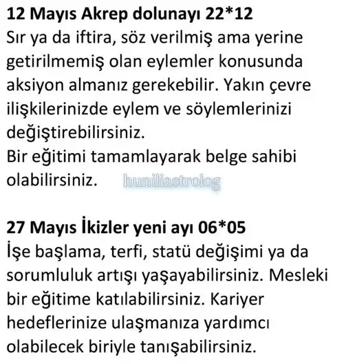may22 (13).webp
