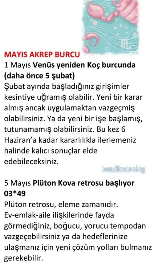 may22 (16).webp