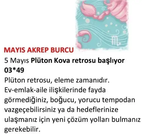 may22 (16).webp